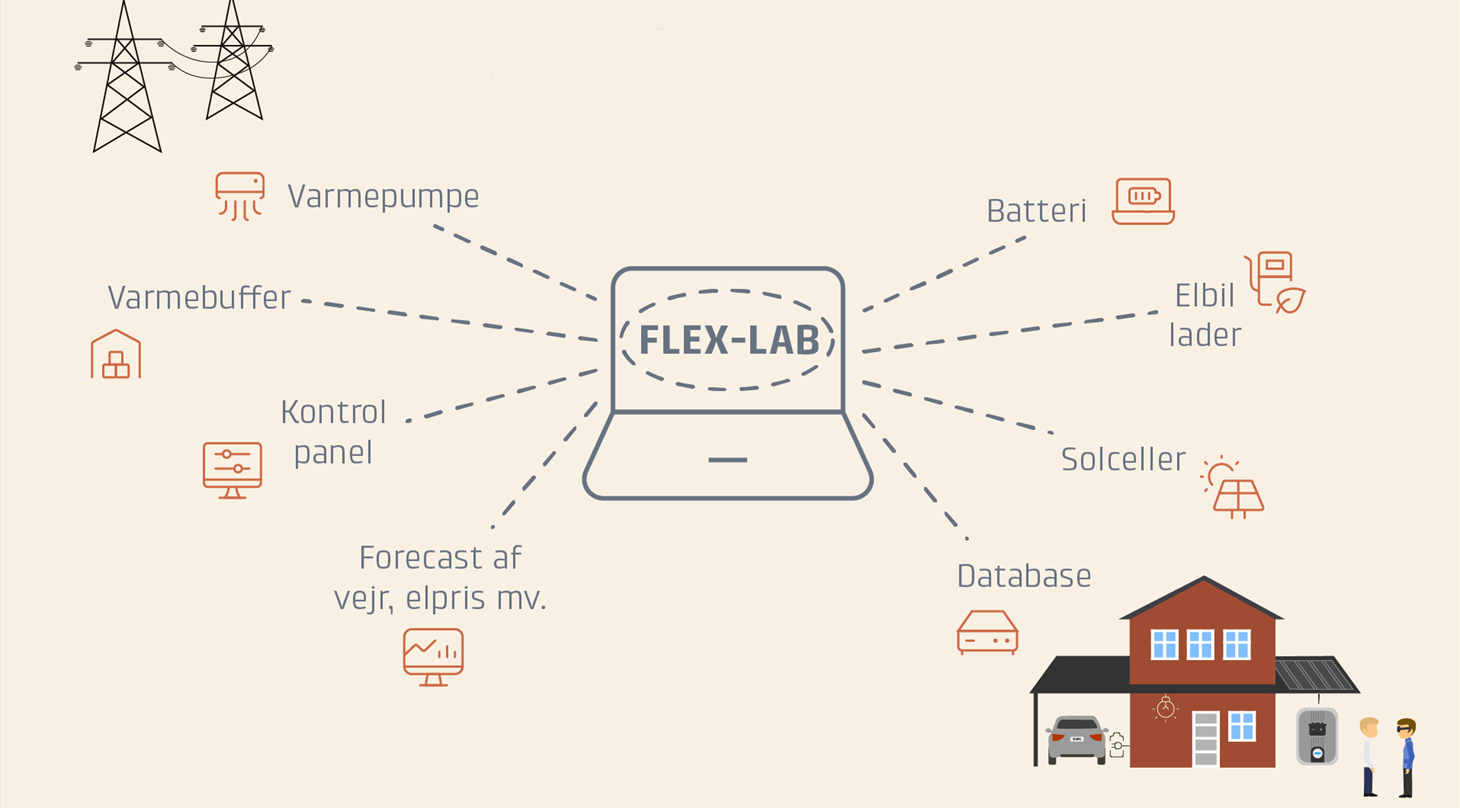FLexlab2