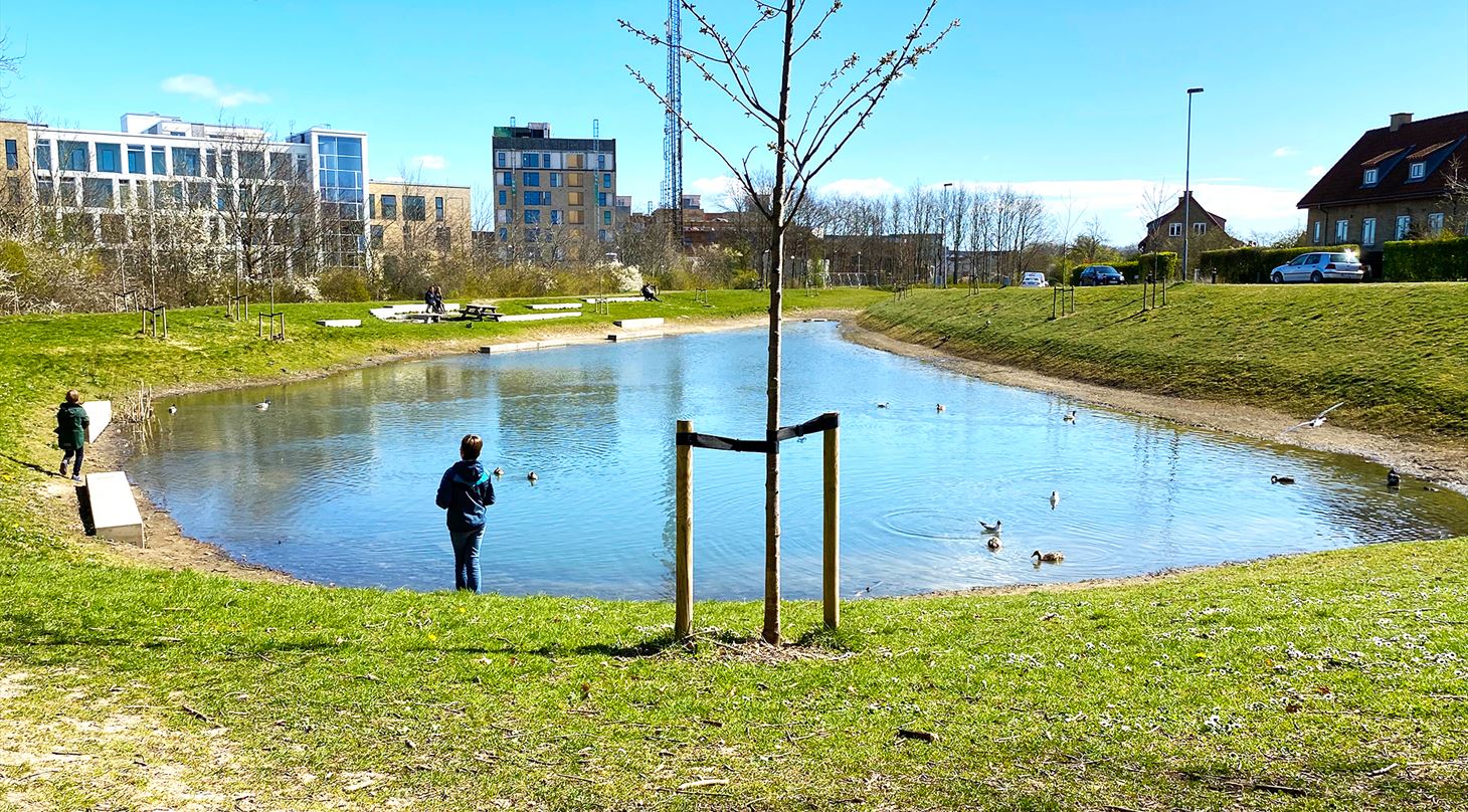 Regnvandsbassin i Aarhus