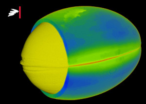 3D genereret billede fra mikro CT scanning der viser en fiskeolie tablet