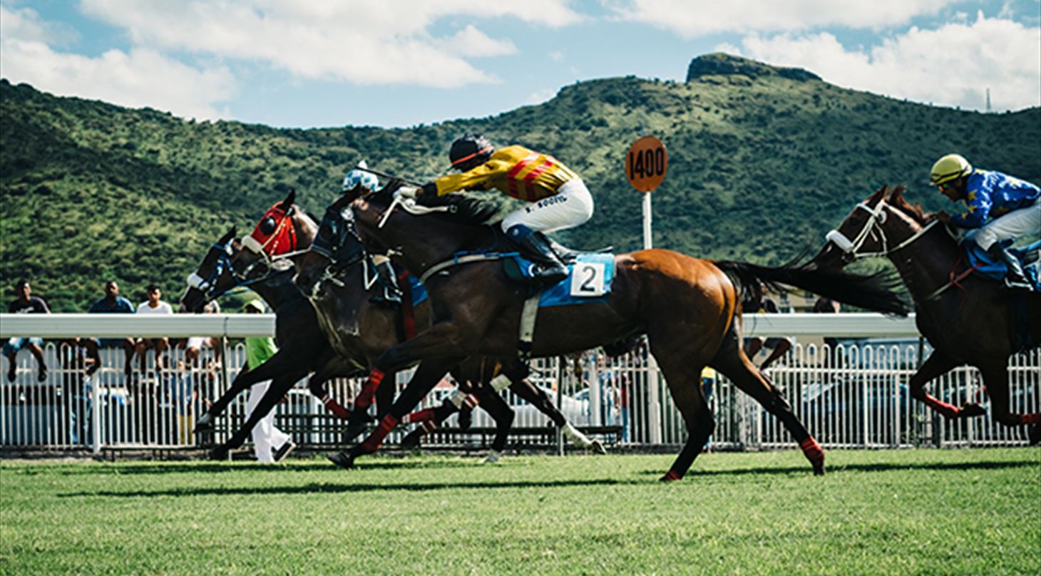 Billedet viser tre hest i galop på en ridebane. Billedet er taget af Julia Koppien (Unsplash) og brugt til artiklen "Kan det betale sig at spille på to heste" fra Medlemsinformation nr. 4-21 - må KUN bruges af BBI
