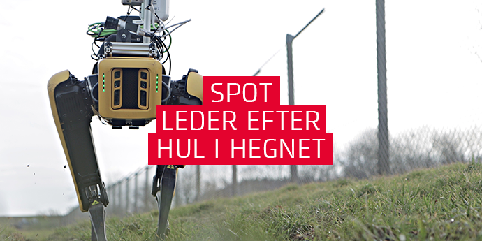 Spot finder hul i hegnet