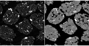 Sammenligning af tvrsnit fra virtuelle pellets fra mikro-ct og HiP-CT