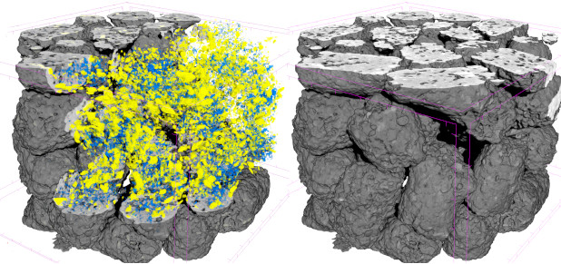 3D tomography visualisation of internal structure in feed pellets