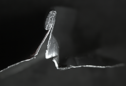 Billedet er et mikroskopbillede af kanten af en dåse
