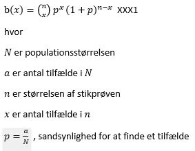 Formel til afsnit 7