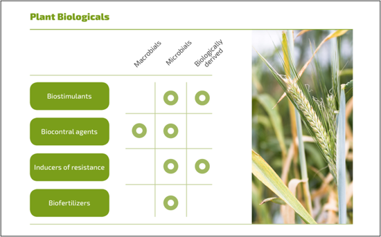 Plant biologicals classification