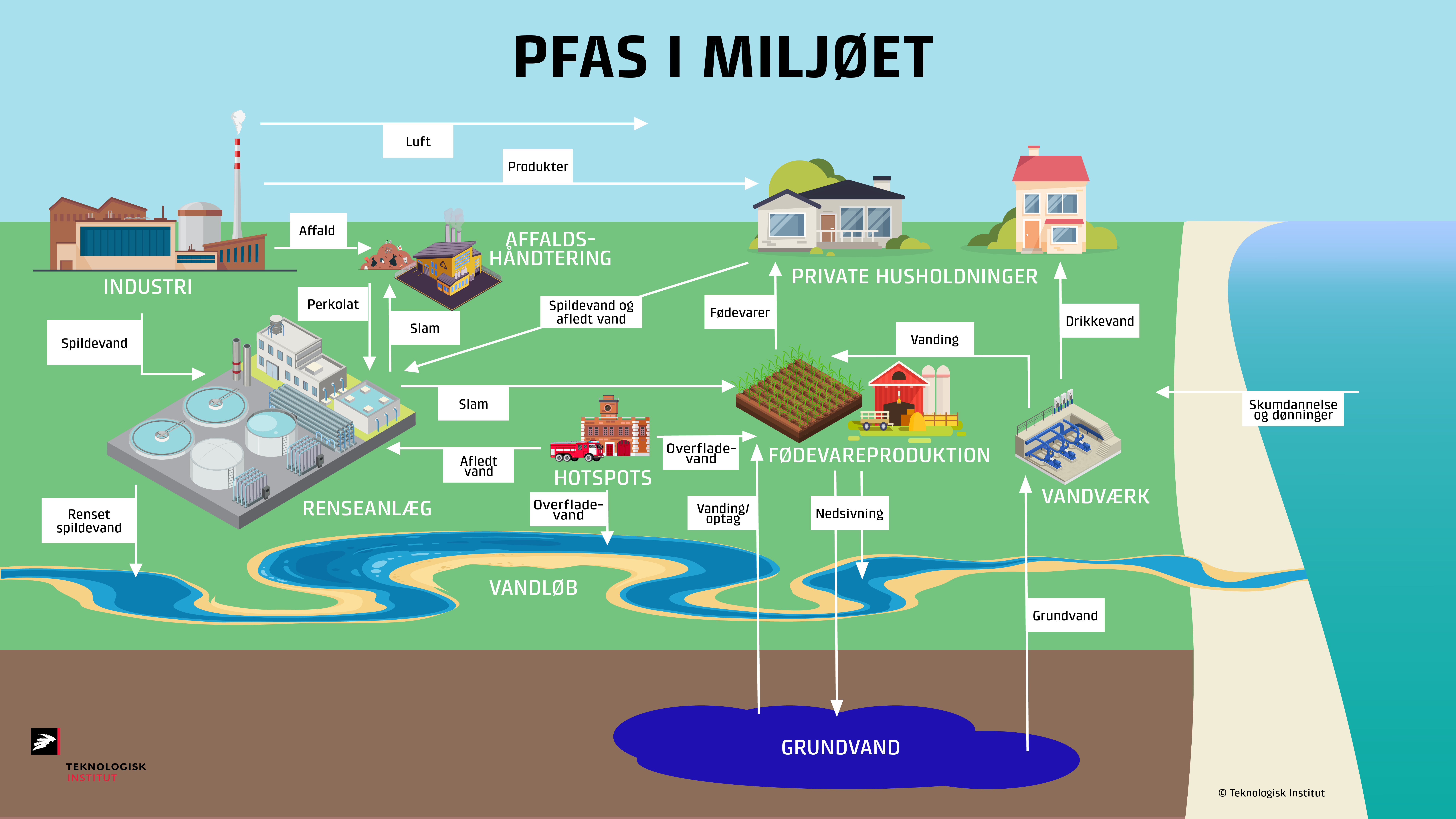 Illustration der viser hvordan PFAS bevger sig i miljet