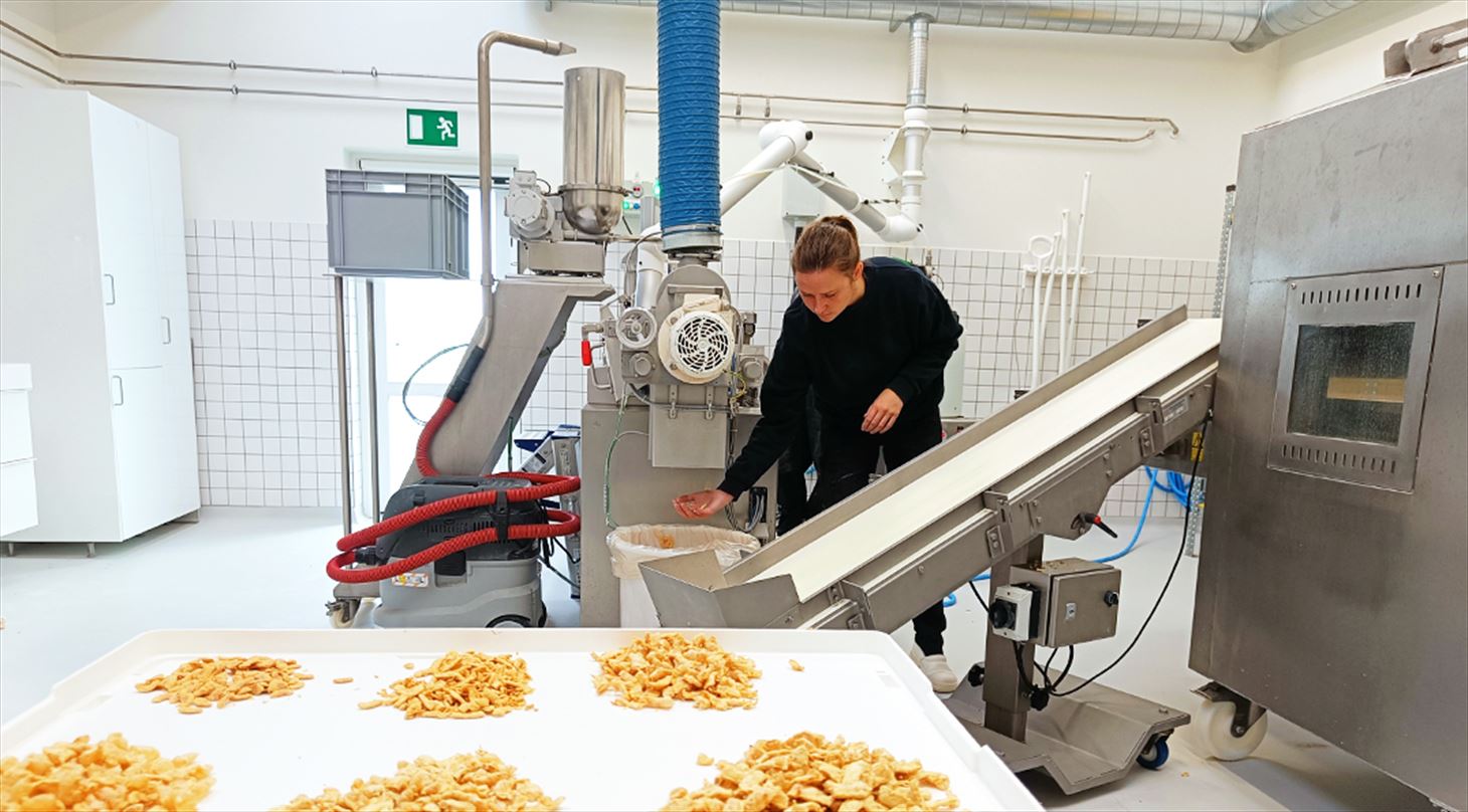 Billede af en produktion, hvor de tester plantebaserede snacks p� f�devareekstruderen i Sdr. Stenderup