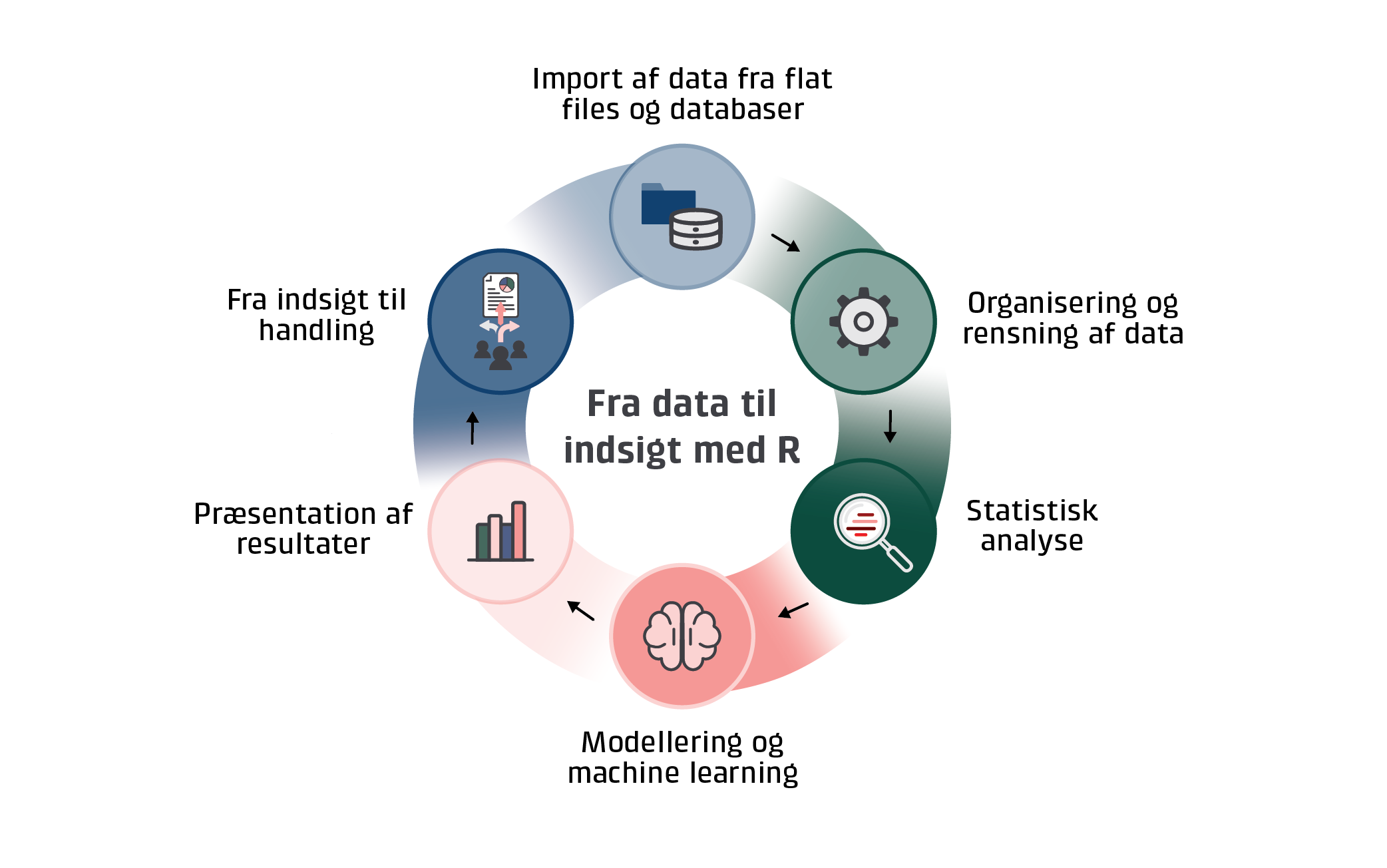 Grafikken viser, hvordan du kan f indsigt i data med R
