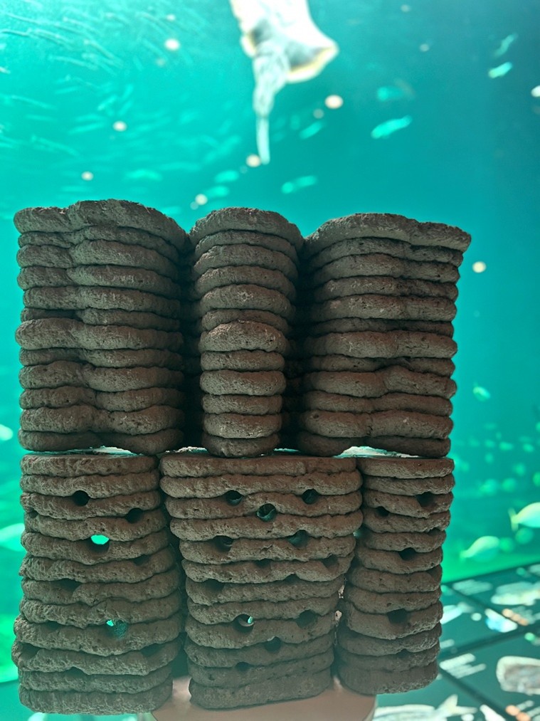 Coral