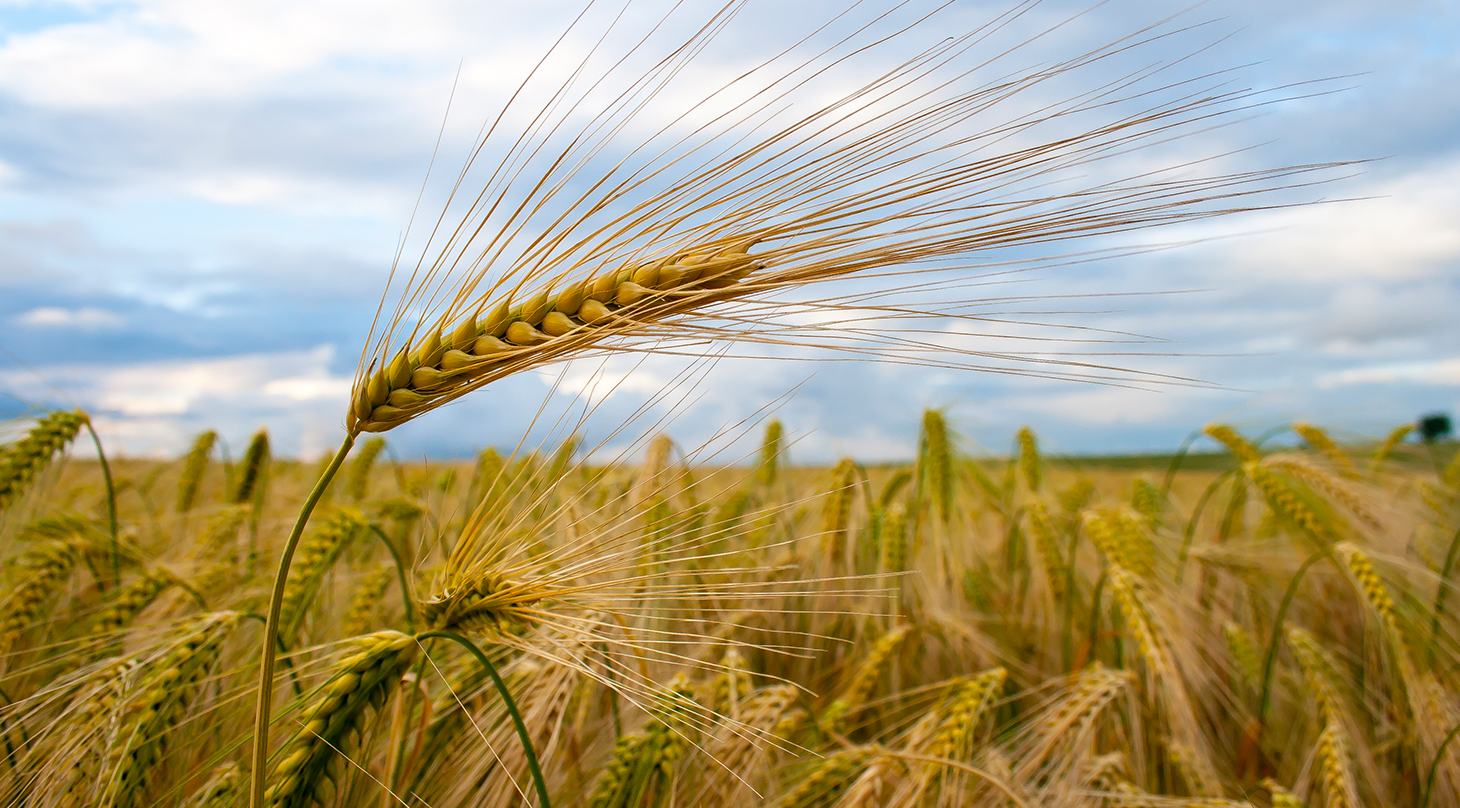 Udvikling, test og verifikation af milj�teknologi 2