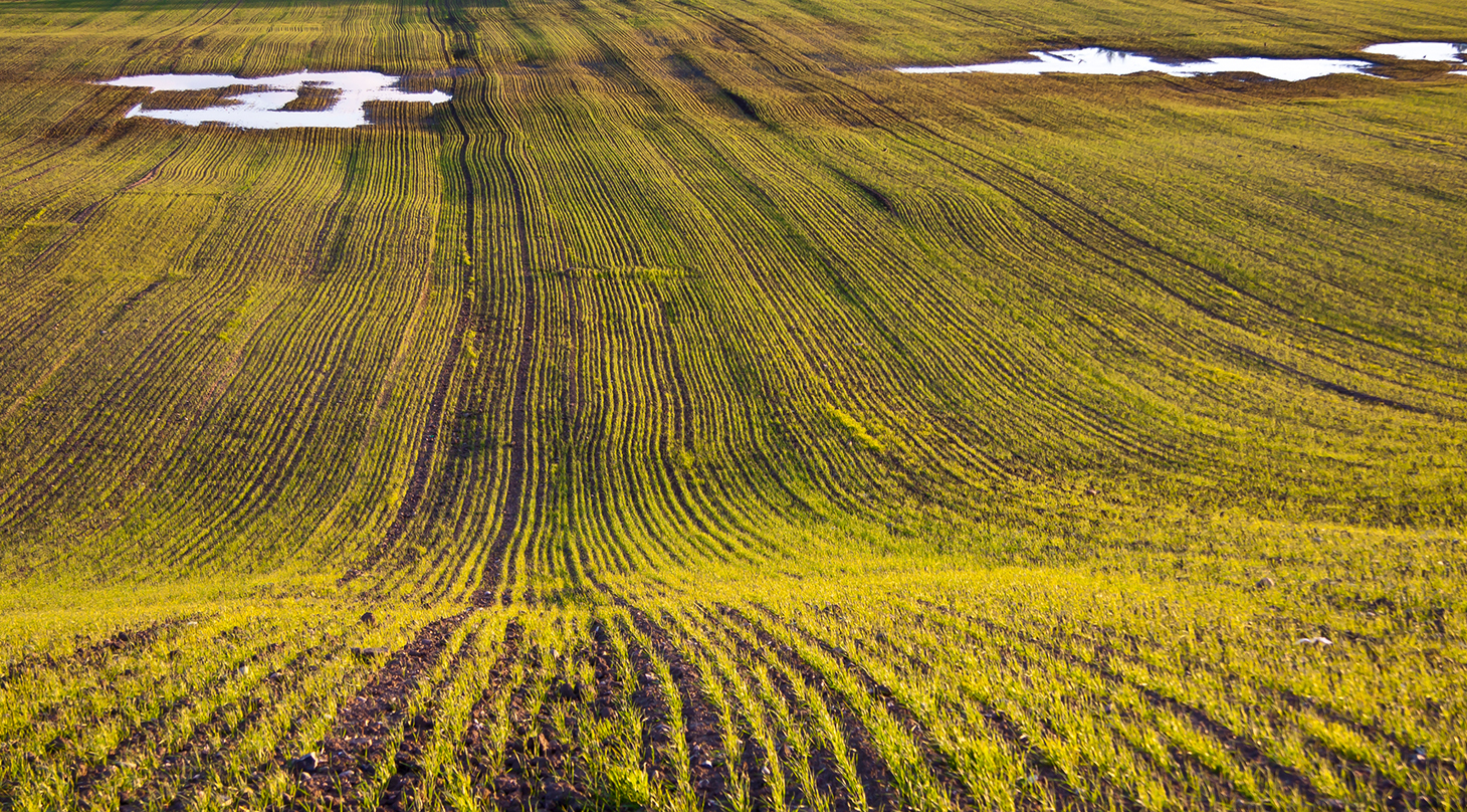 Bestemmelse af lugt og milj�skadelige stoffer 2
