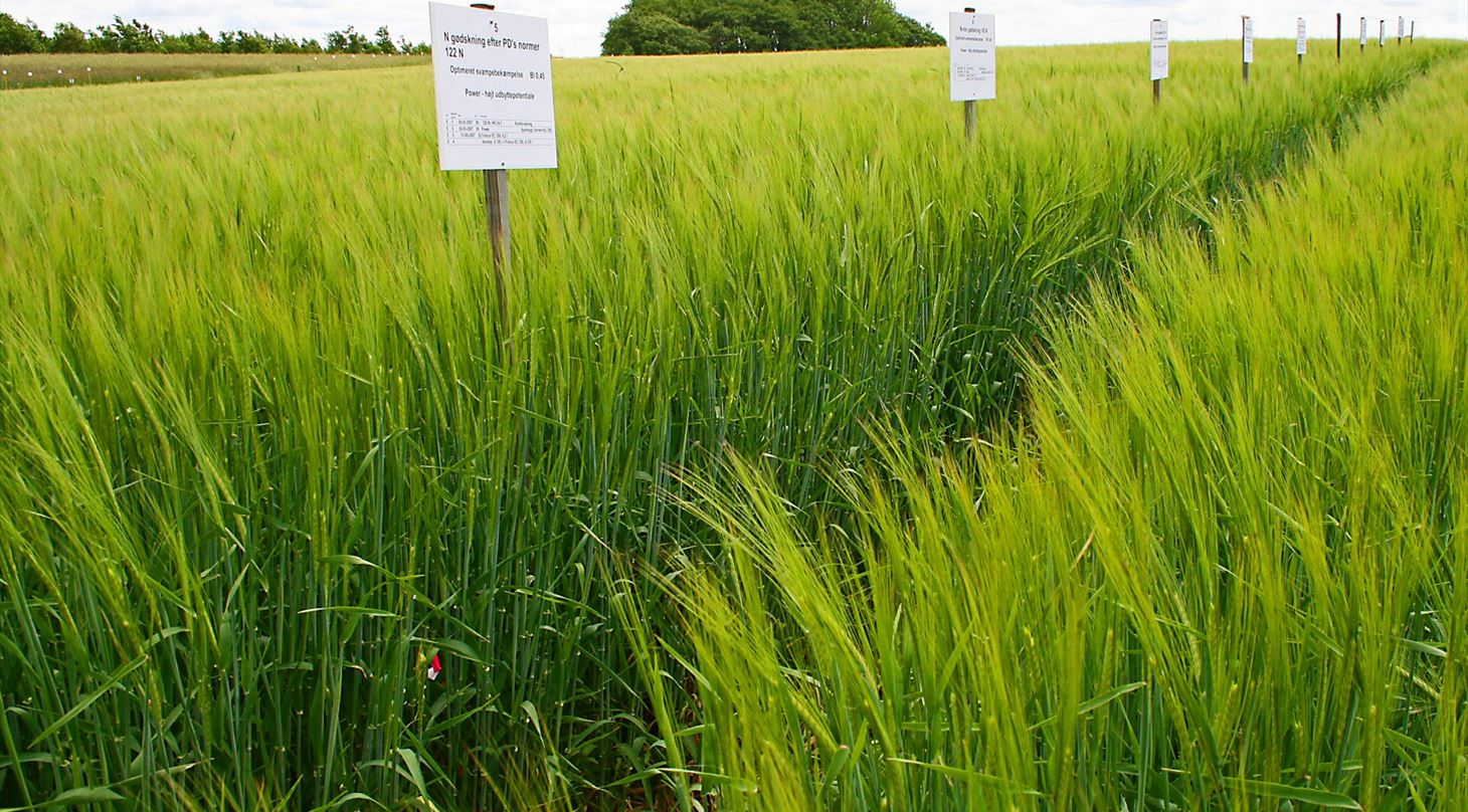 Mark- og Mark- og teknologifors�g - afpr�vning og udvikling af l�sninger til landbruget