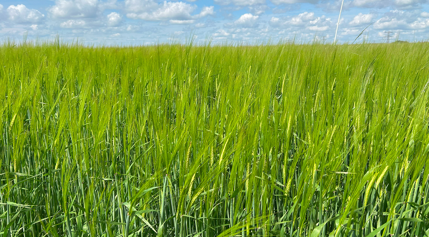 Vi hj�lper dig med at optimere plantev�rn og flydende g�dning gennem avanceret teknologi