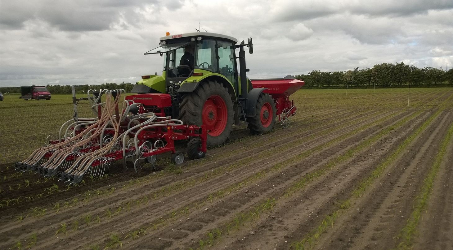 Teknik- og dyrkningsstrategifors�g 2