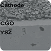 CGO