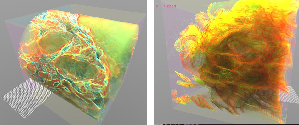 Imaging af proteinpulver