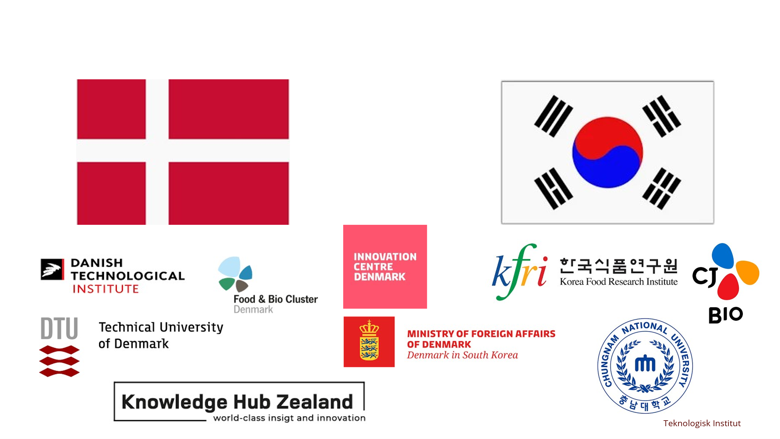 Billede af alle partnerne i BioPin projektet