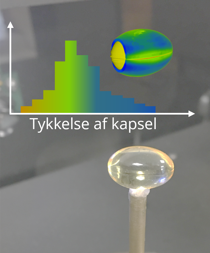 Kapseltykkelse dansk 2025