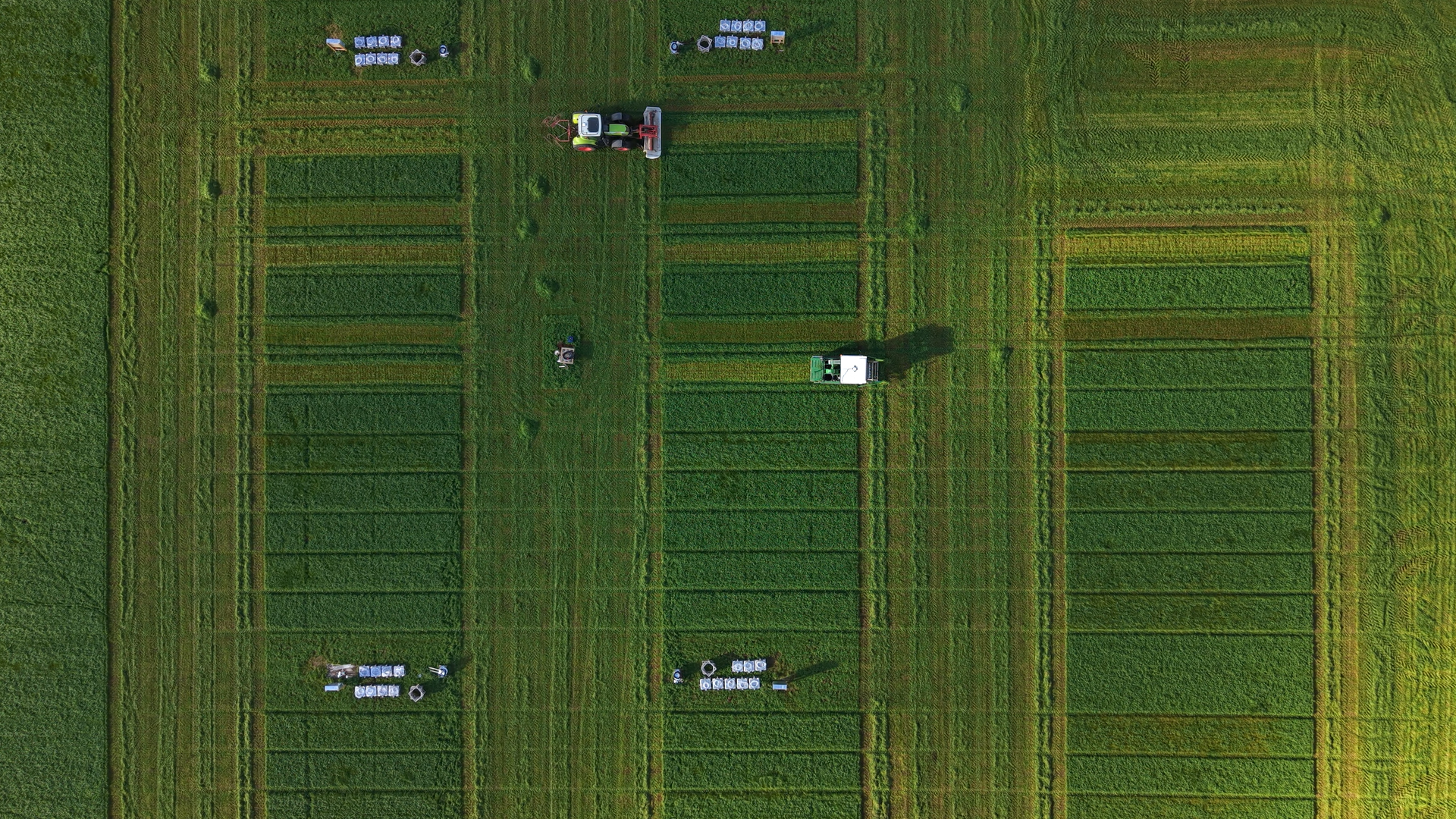 SmartField supersite A_october