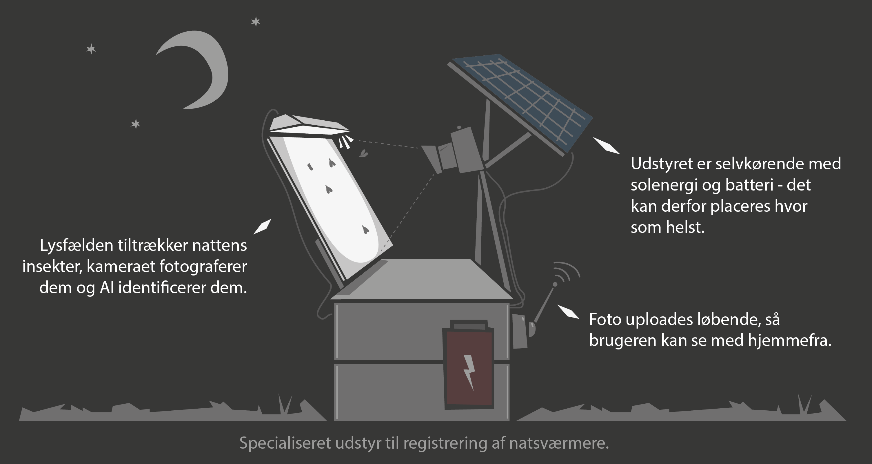 Specialiseret udstyr til registrering af natsv�rmere