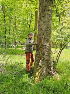 F� viden, metoder og teknologi til l�sning af opgaver inden for skovbrug, naturforvaltning og klimatilpasning