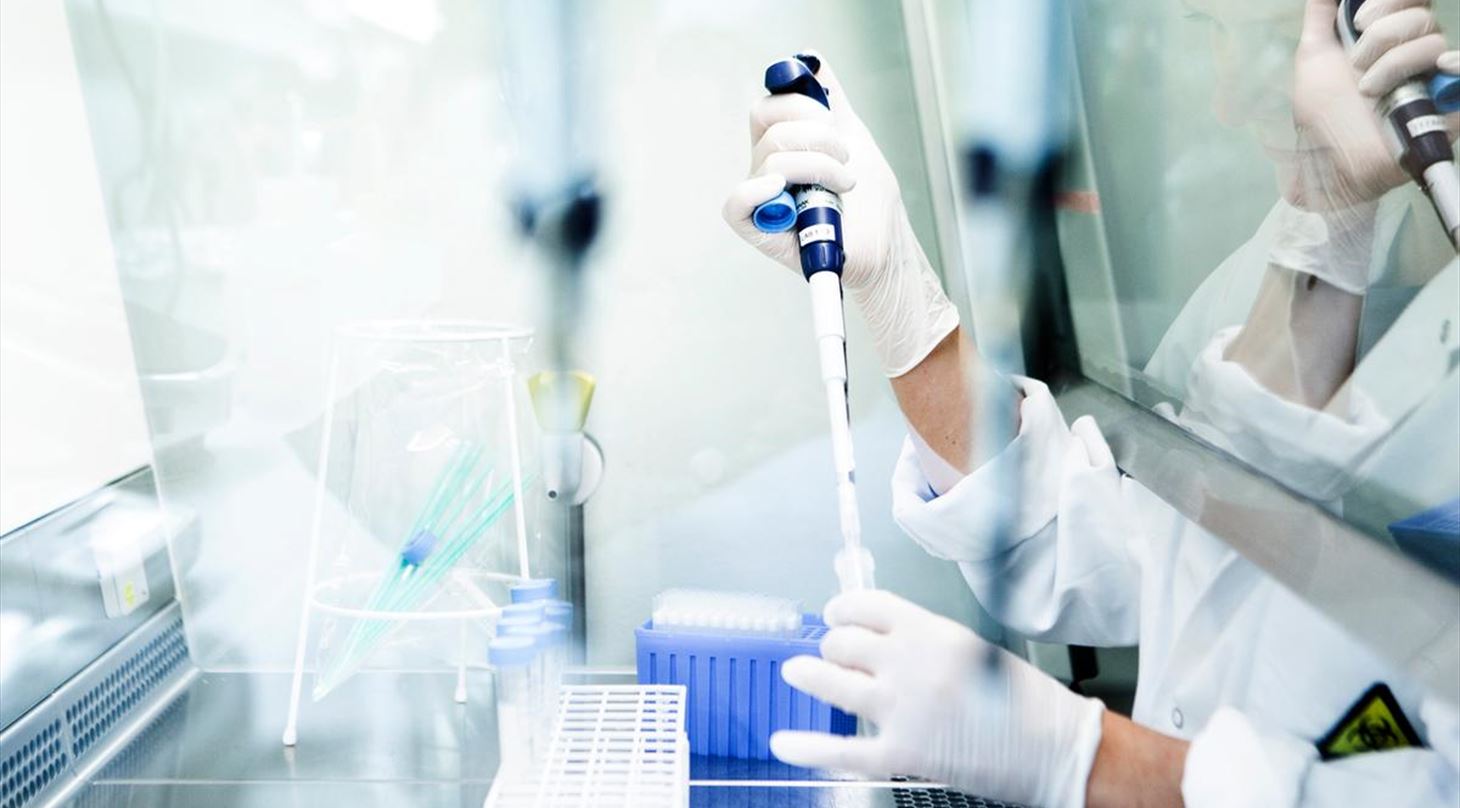 I et laboratorier ser man hænder fra person i kittel som håndterer pipetter