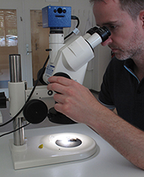 Billedet viser et test-set-up for pr�vning af luer