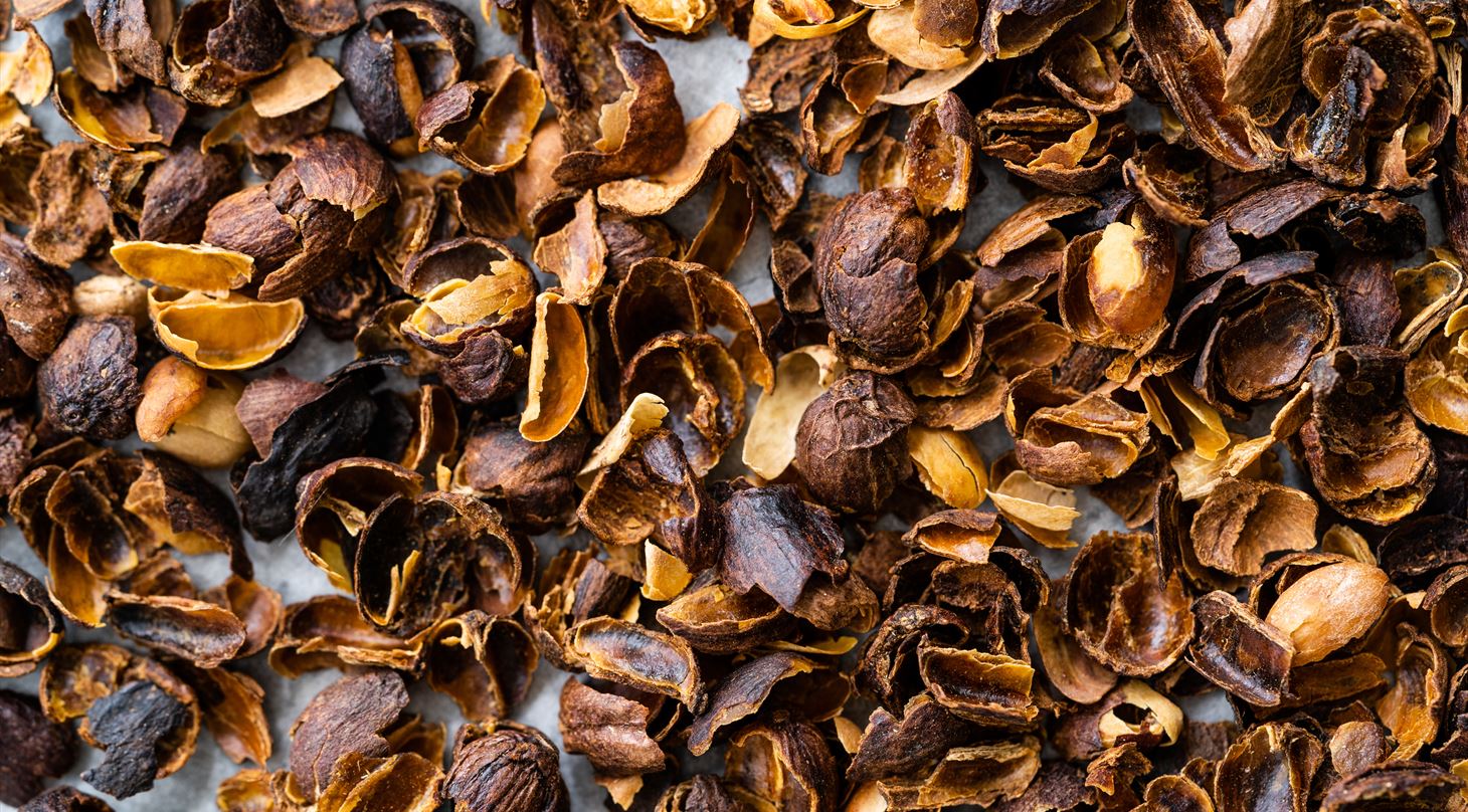 Cascara skaller