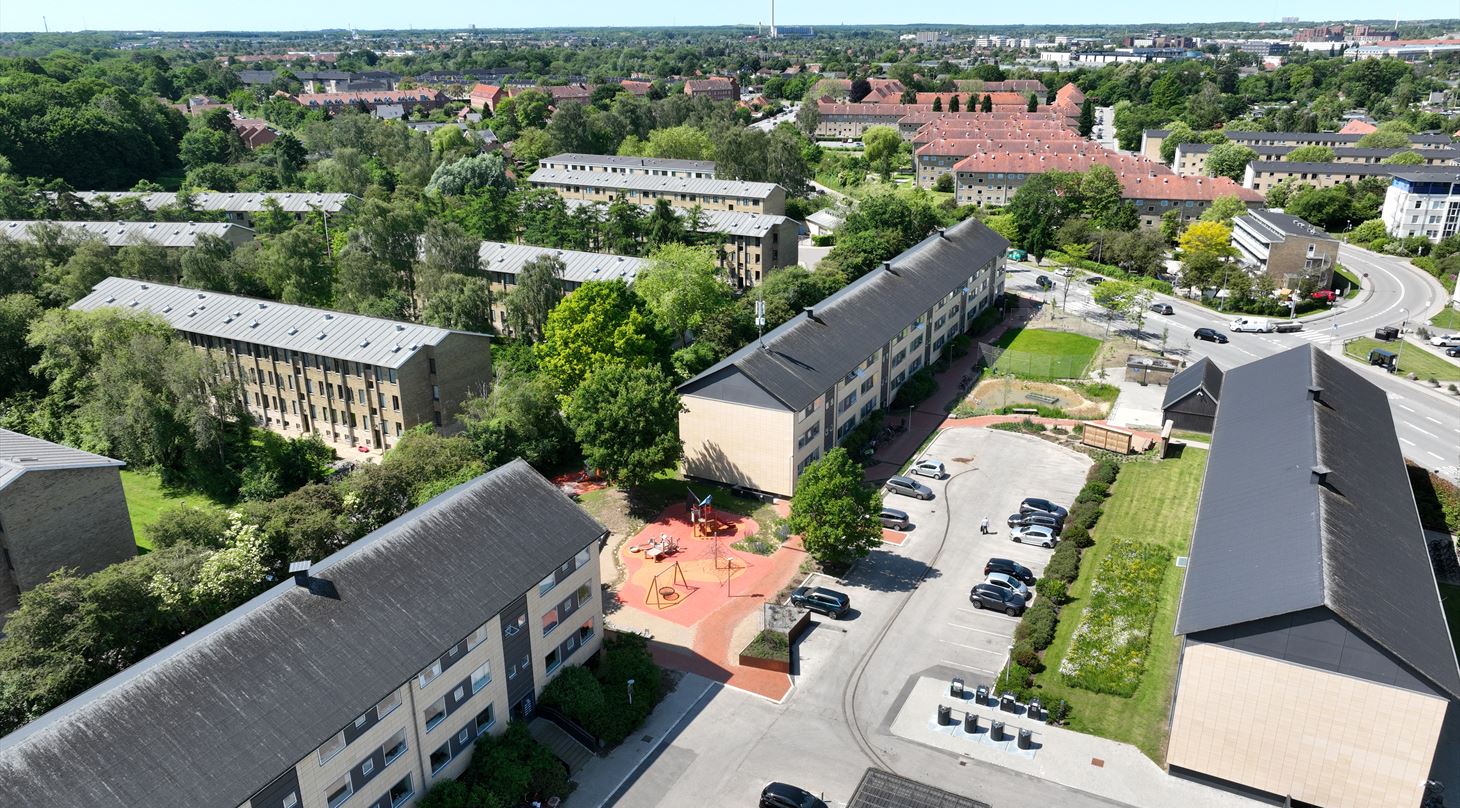 Forside damp-projektet 