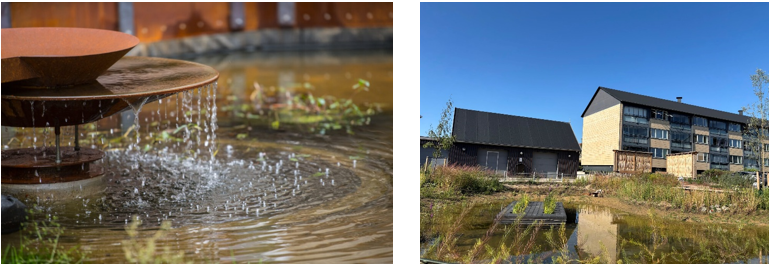 dam, huse, sø