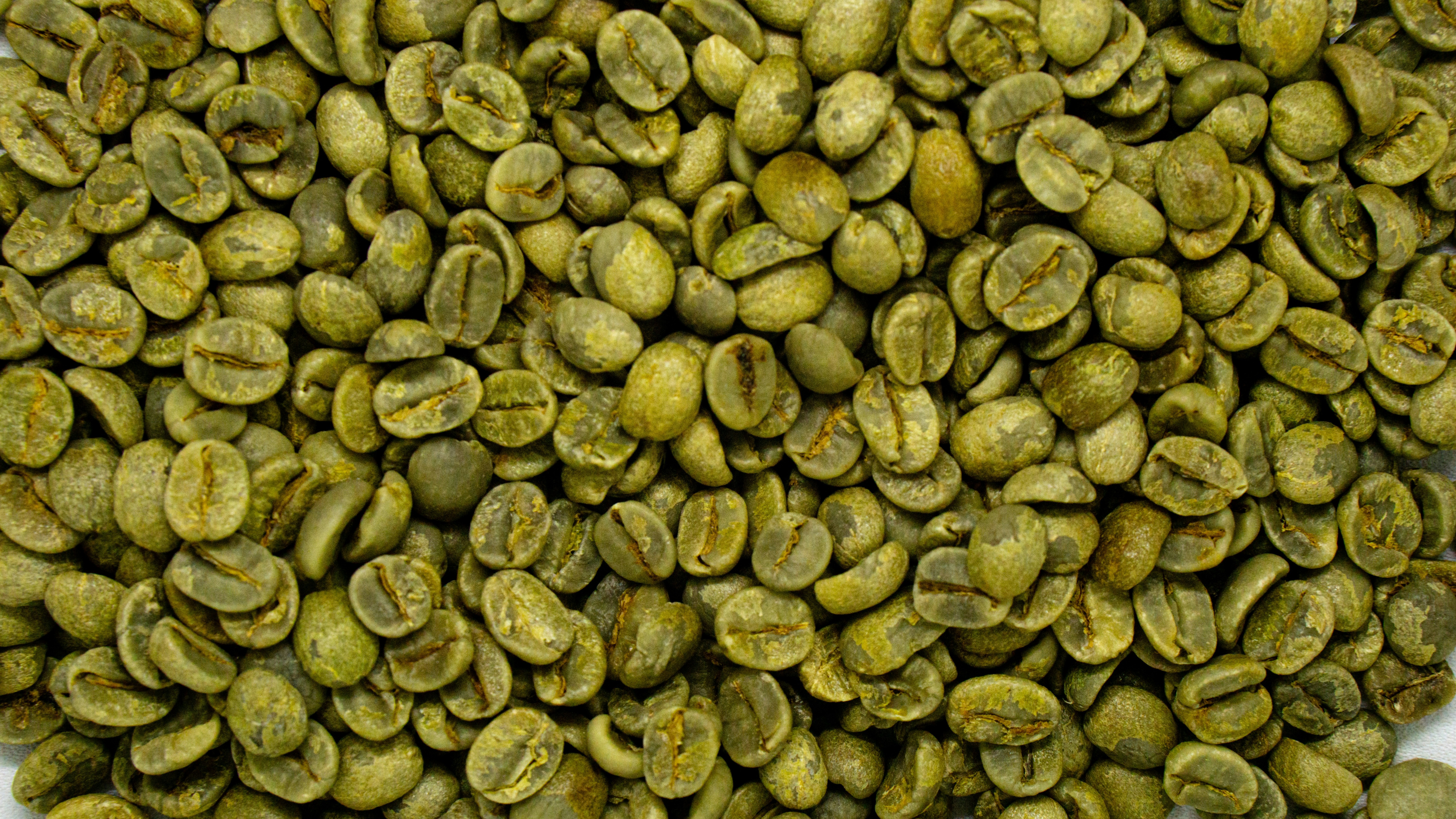 SPORE projektet tester teknologi for tidlig opdagelse af skimmel i kaffe, korn og n�dder.