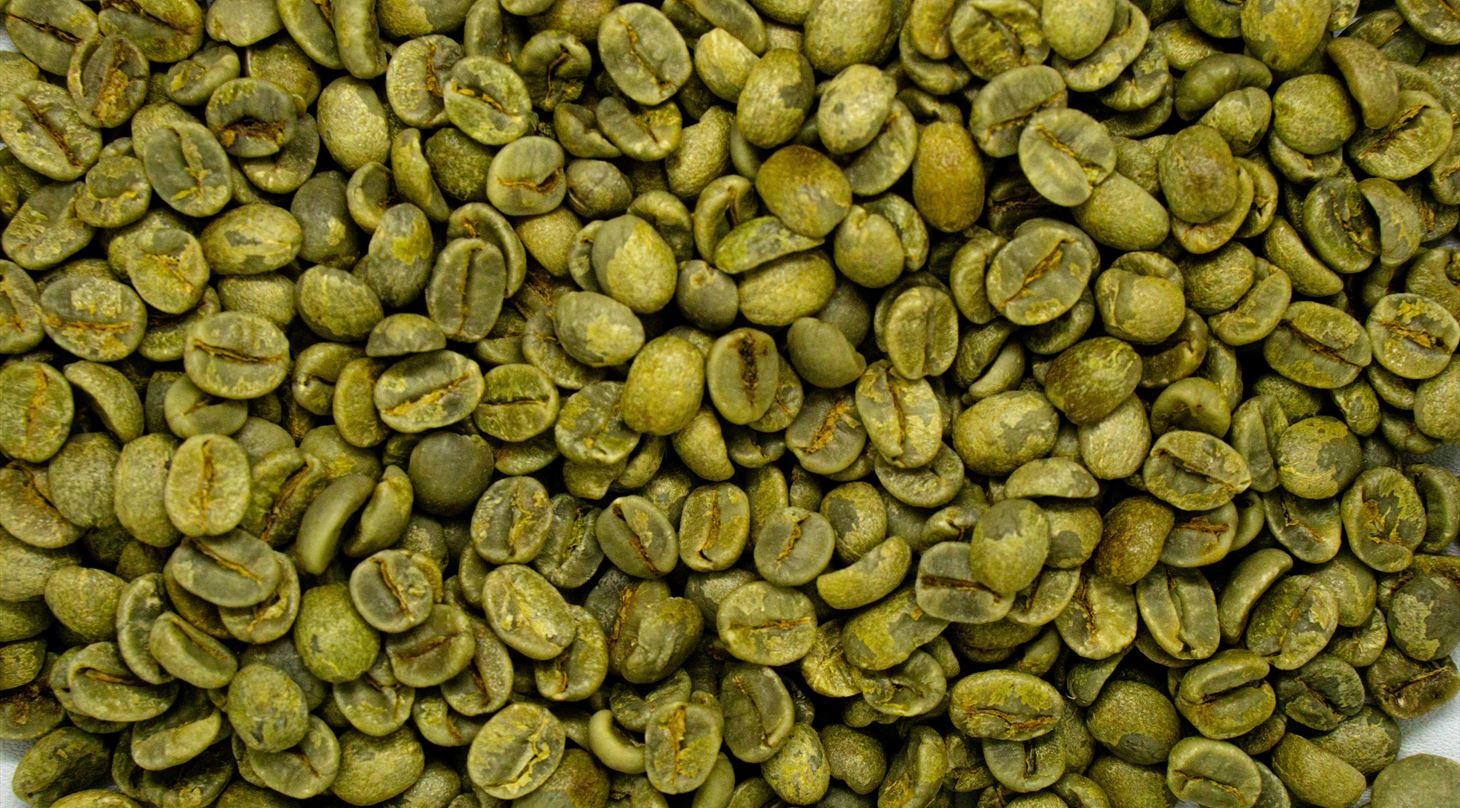 SPORE projektet tester teknologi for tidlig opdagelse af skimmel i kaffe, korn og n�dder.