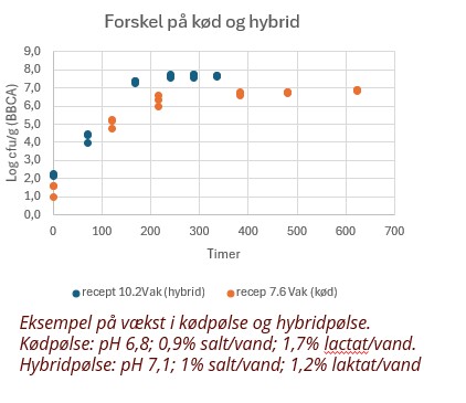 forsket p� koed226-01 110059.jpg