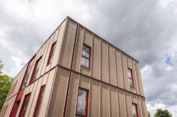 Build in Wood