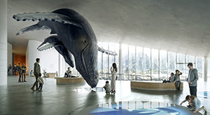 Hvalmuseum