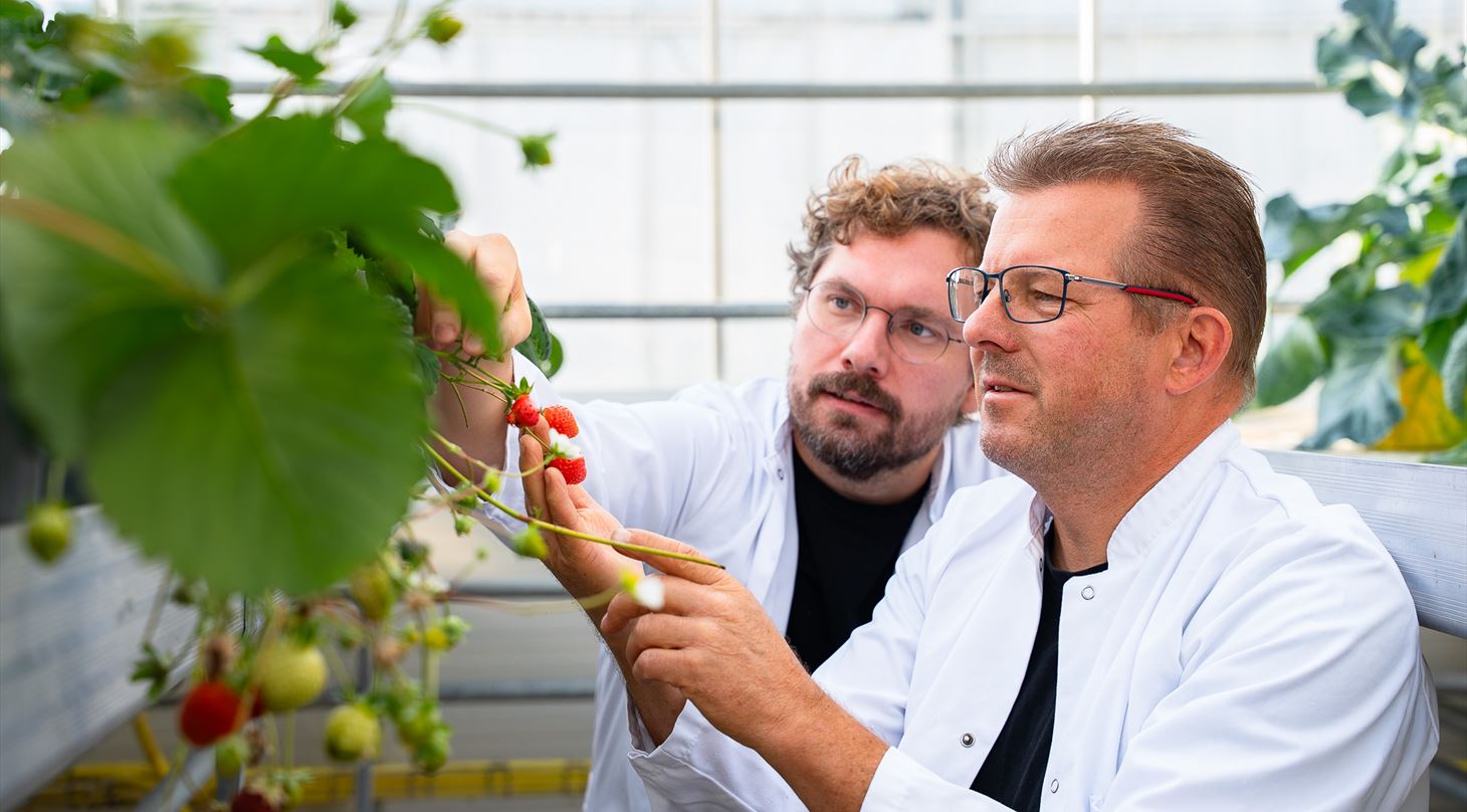 Anders Lamb�k fra DTI og Thomas Bak-�sterby fra AU FOOD.
