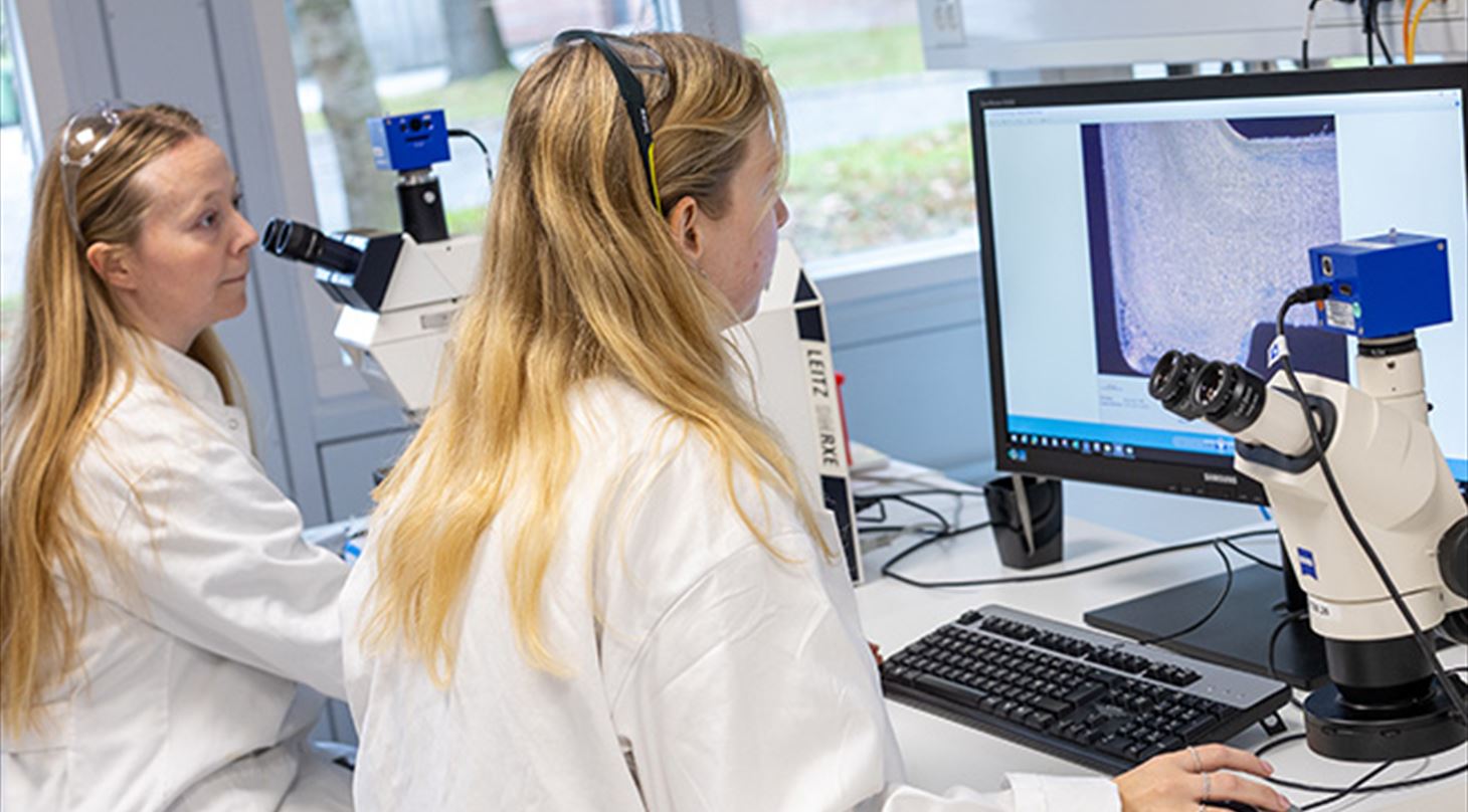 Billedet viser en laboratorieopstilling med to personer, der kigger på testemner på pc-skærme