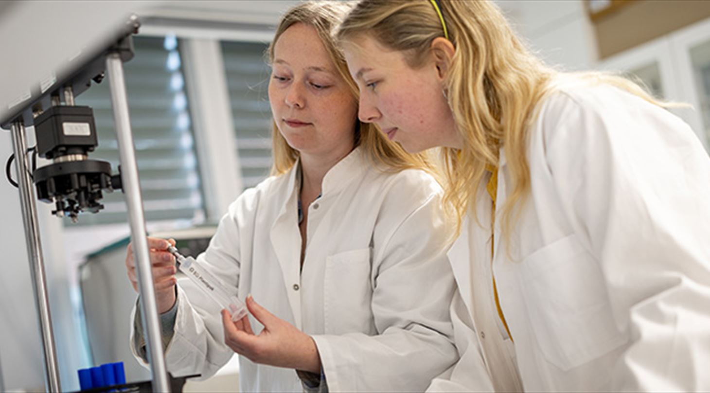 Billedet viser en laboratoriesituation, hvor to personer kigger på testemner